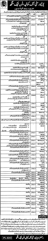 University of Kamalia Jobs 2025