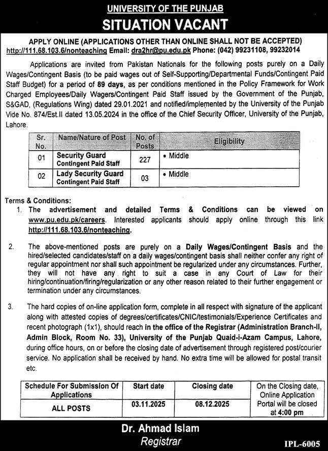 University of Punjab Jobs 2025